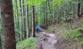 Randonnée Trail Gemeinde Kirchdorf in Tirol - Grießbachklamm – Wasserfall - Photo 14