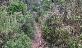 Tour Wandern Saint-Guilhem-le-Désert - Saint Gilhem le désert  - Photo 10