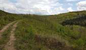Trail Horseback riding Viroinval - Oignies / le Mesnil par Nobertins 100621 - Photo 2