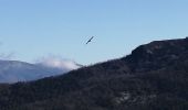 Excursión Senderismo Nyons - essaillon garde grosse  - Photo 9