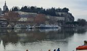 Tocht Stappen Avignon - ile de la Barthelasse - Photo 3