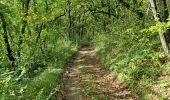 Tour Wandern Chauffour-lès-Étréchy - Chauffour-lès-Etréchy Coteau des Verts Galants - Photo 7