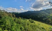 Tocht Stappen Bouillon - rando rochehaut 11-06-2022 - Photo 11