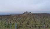Percorso Marcia Verzy - Entre Faux et Vignes - Photo 2