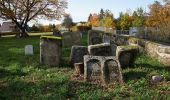 Tour Zu Fuß Neunkirchen a. Sand - Schnaittachtalwanderweg - Photo 8