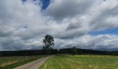 Trail Walking Habay - rando moulin d anlier 31/07/2021 - Photo 12