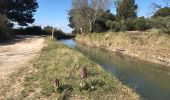 Randonnée Marche Aureille - Canal des Baux à Partir d’Aureille - Photo 1