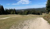 Tour Wandern Gex - Balade à Col de la Faucille, Gex - Photo 1