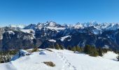 Tour Schneeschuhwandern Fillière - CREPON DE  MONTOULIVERT - Photo 6