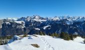 Percorso Racchette da neve Fillière - CREPON DE  MONTOULIVERT - Photo 6