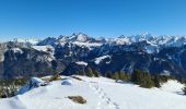 Randonnée Raquettes à neige Fillière - CREPON DE  MONTOULIVERT - Photo 6