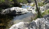 Excursión Senderismo Collobrières - la chartreuse de la Verne par les vasques de Boulin - Photo 13
