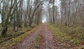 Excursión Senderismo Villedômer - Villedomer - Étang de l'Arche - Photo 10