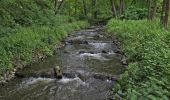 Trail On foot Schlaubetal - Gelber Wanderweg - Photo 7