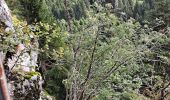 Trail Walking Le Valtin - VOSGES 2023 - Col de la Schlucht - Les Rochers de Hirschteine - Photo 19