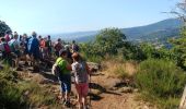 Tour Wandern Pavezin - Crêt de Baronnette - Photo 2