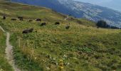 Trail Walking Arbaz - pas de Maimbré  - Photo 1