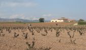 Tour Wandern Logroño - Camino Francés - Etp8 - Logroño - Nájera - Photo 2