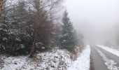 Percorso Marcia Spa -  harme de novembre au Thier des Rexhons - Photo 4