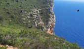 Randonnée Marche La Ciotat - la ciotat - cassis par les cretes - Photo 2