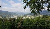 Tour Wandern Günsbach - Gunsbach - Munster - Photo 4