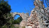 Tour Wandern Tourves - SityTrail - Tourves- Le Saut du Cabri - Les gorges du Caramy - Photo 17