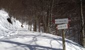 Trail On foot Crespadoro - Anello Ecoturistico Piccole Dolomiti 003 - Photo 7