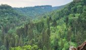 Trail Walking Blumberg - Cascade Schleifenbach et gorges de Wutach - Photo 17