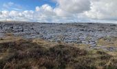 Tour Wandern West Clare Municipal District - Burren - the blue and white trains - Photo 7