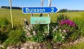 Tocht Stappen La Roche-en-Ardenne - Marche ADEPS 11km100 à  Buisson. - Photo 12