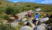 Trail Walking Quenza - Plateau de Cuccione - Photo 16