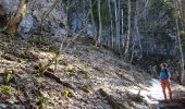 Tour Wandern Rencurel - Pas de Pertuson et falaise de Méaudre - Photo 9