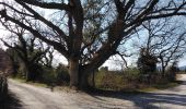 Tour Wandern Mazan - entre Mazan et St Pierre de Vassol 84 - Photo 1