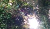 Trail Walking Eysson - Eysson Moulin de Creuse 1 août 2019 CAF - Photo 2