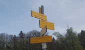 Randonnée Marche La Trinité - Les Tours de Montmayeur au départ de la Trinité via col de Cochette - Photo 1