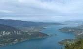 Trail Electric bike Doussard - col de Forclas tour du lac d Annecy  - Photo 5