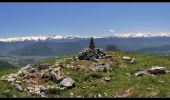 Excursión Senderismo Sainte-Reine - Mont Pelat - Photo 4