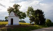 Tocht Te voet Velké Meziříčí - naučná stezka Okruh Balínským údolím - Photo 3