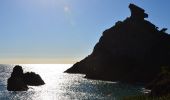 Excursión Senderismo Cassis - Pas de la Colle - Falaises Soubeyranes - Sémaphore du Bec de l'Aigle - Anse de Figuerolles - Parc Mugel - La Ciotat - Photo 5