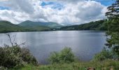 Trail Walking Orcival - 2021-07-02 lac de guéry - puy gros -banne d'ordanche - Photo 11