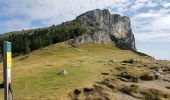 Trail Walking Lans-en-Vercors - les allieres, COL de l arc, et pic ST Michel - Photo 11