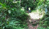 Trail Walking Gros-Morne - Palourde duchesneteau  - Photo 10