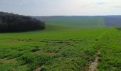 Tocht Stappen Vauchassis - Randonnée Grands Bois Vauchassis - Photo 4