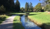 Trail On foot Garmisch-Partenkirchen - Kramerplateauweg - Photo 4