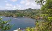 Trail Walking La Trinité - cosmy- anse Richer-anse Lahoussaye-Etoile- anse Azerot-Cosmy - Photo 14