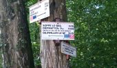 Trail Walking Sentheim - Ils sont de retour... - Photo 14