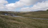 Tocht Stappen Prinsuéjols-Malbouzon - prinsueljols-aubrac etape st Jacques  - Photo 6