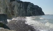 Tour Wandern Petit-Caux - St Martin en campagne Belleville sur mer  - Photo 5