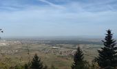 Tocht Stappen Eguisheim - Rando des cinq châteaux  - Photo 6