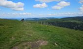 Tocht Stappen Xonrupt-Longemer - 2024 RA Vosges J1 Rando âne sur les crêtes - Photo 2